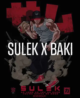 Sulek x Baki