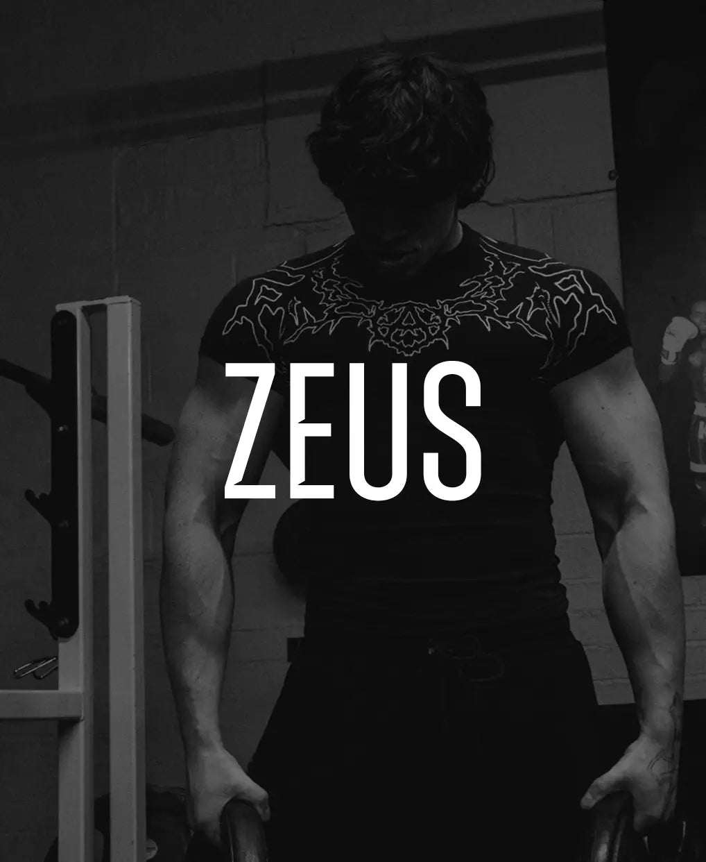 Zeus Store All Collections – Anabolic Apparel